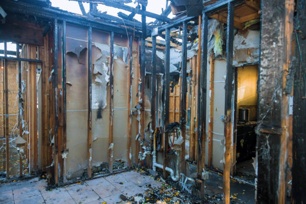 Professional Smoke Damage Removal technician working in Volcano Golf Course, HI